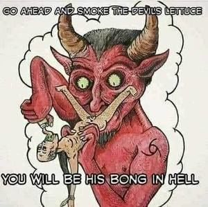 Meet your Posher, Ronnie